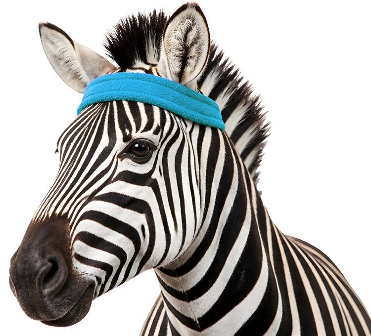 Zebra con fascia sportiva azzurra: l'immagine della Palestra delle Competenze, la formazione Design Thinking di didardo